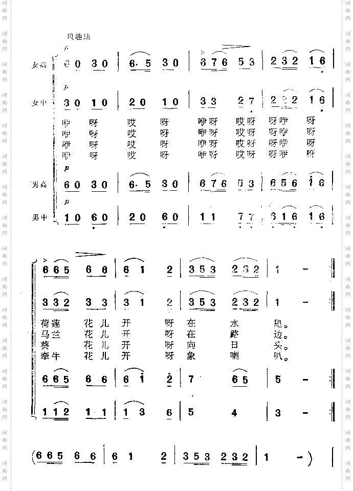 对花
