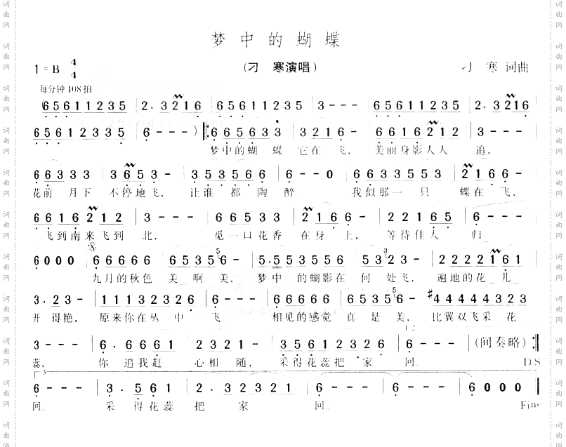 梦中的蝴蝶