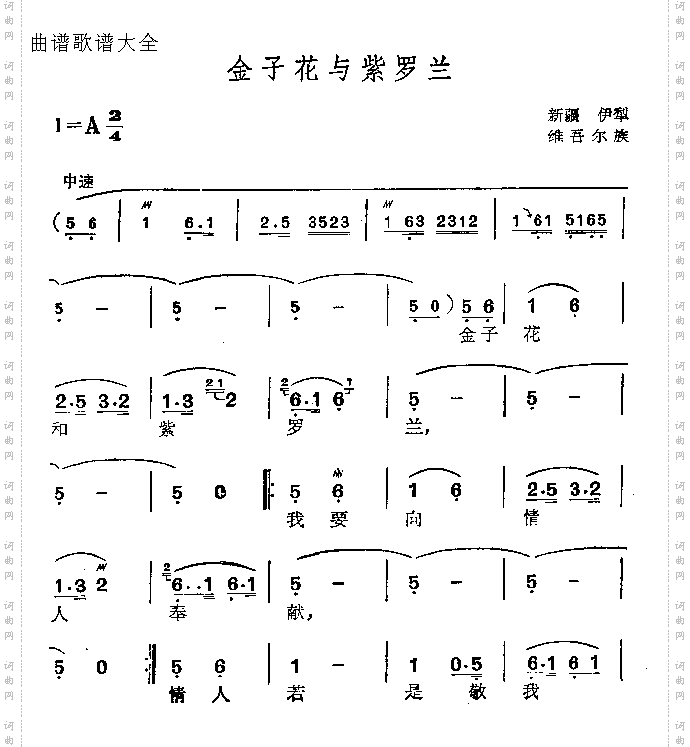 金子花与紫罗兰