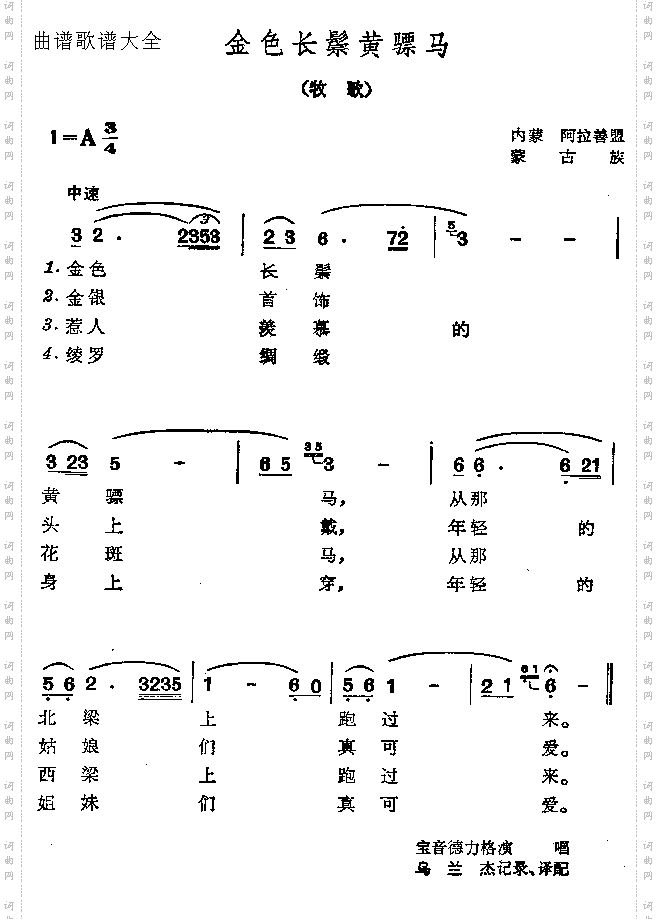 金色长鬃黄骠马