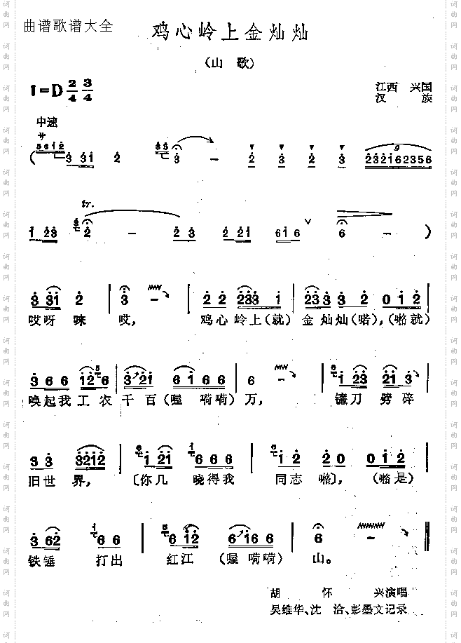 鸡心岭上金灿灿