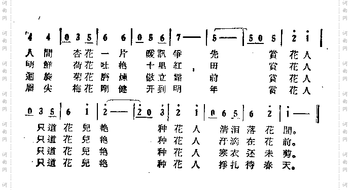 飞花歌