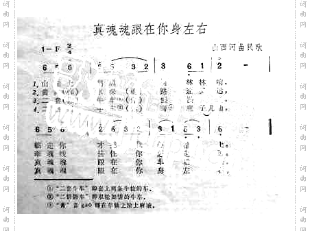 真魂魂跟在你身左右山西河曲民歌