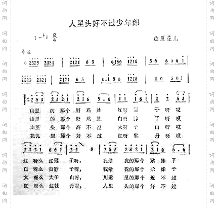 人里头好不过少年郎临夏花儿