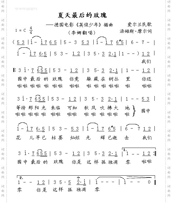 夏天最后的玫瑰