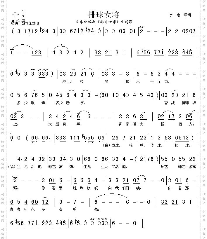 排球女将