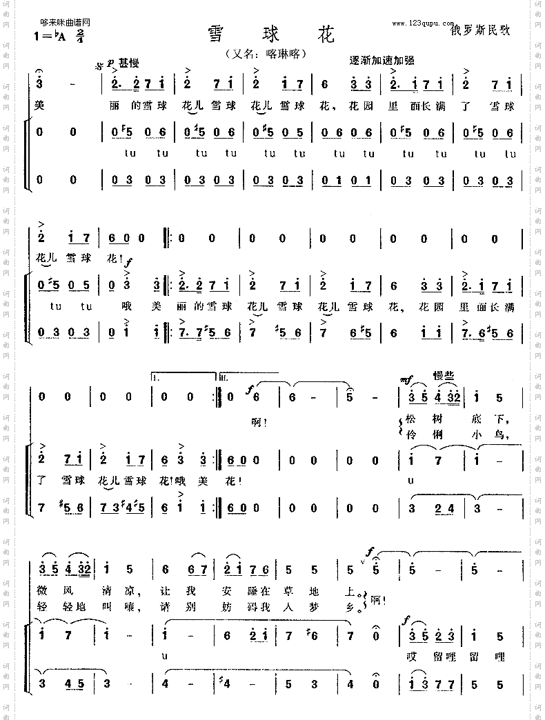 雪球花俄罗斯民歌