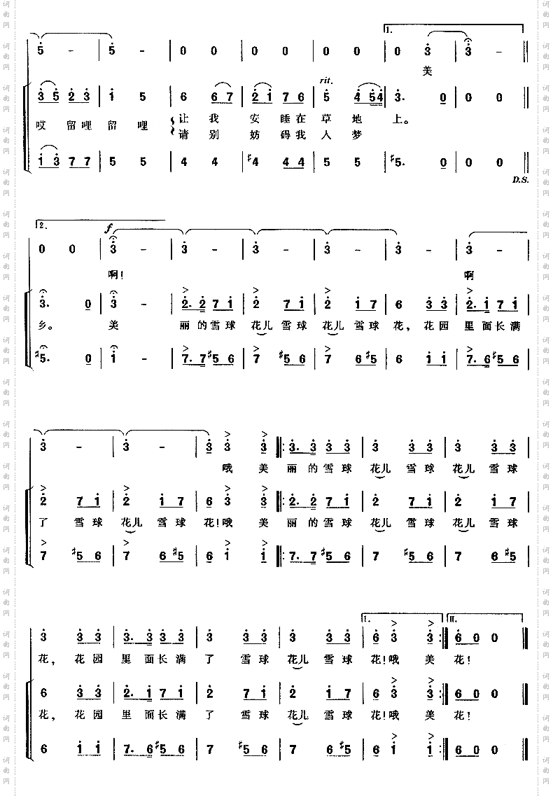 雪球花俄罗斯民歌