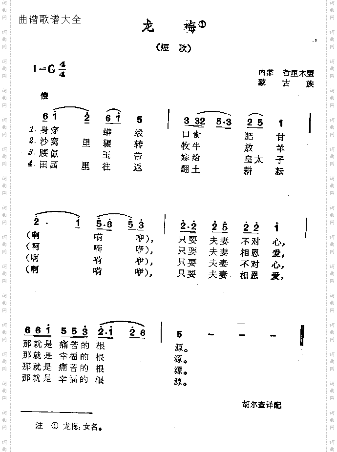 龙梅
