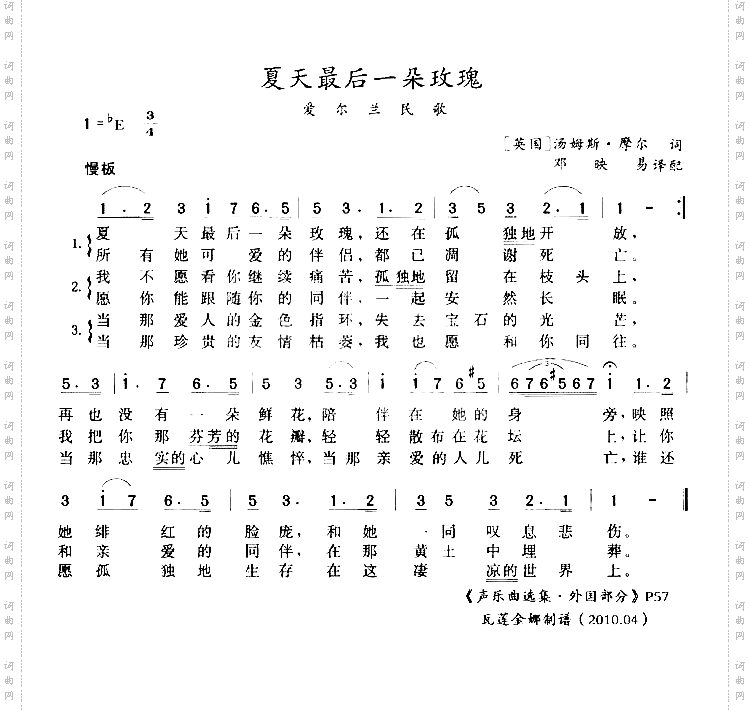 夏天里最后一朵玫瑰