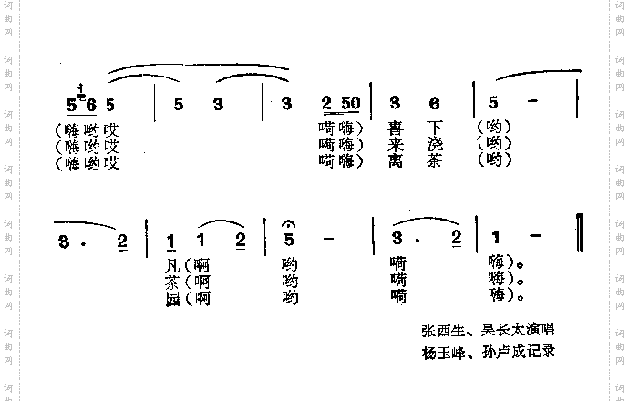 赶牛