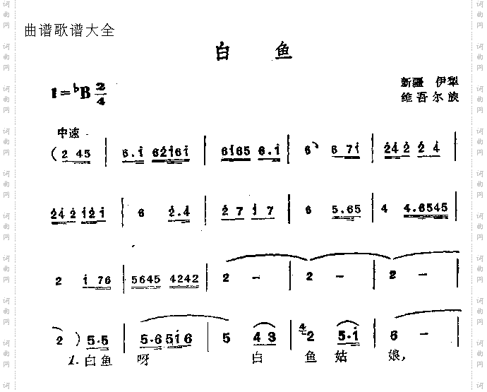 白鱼