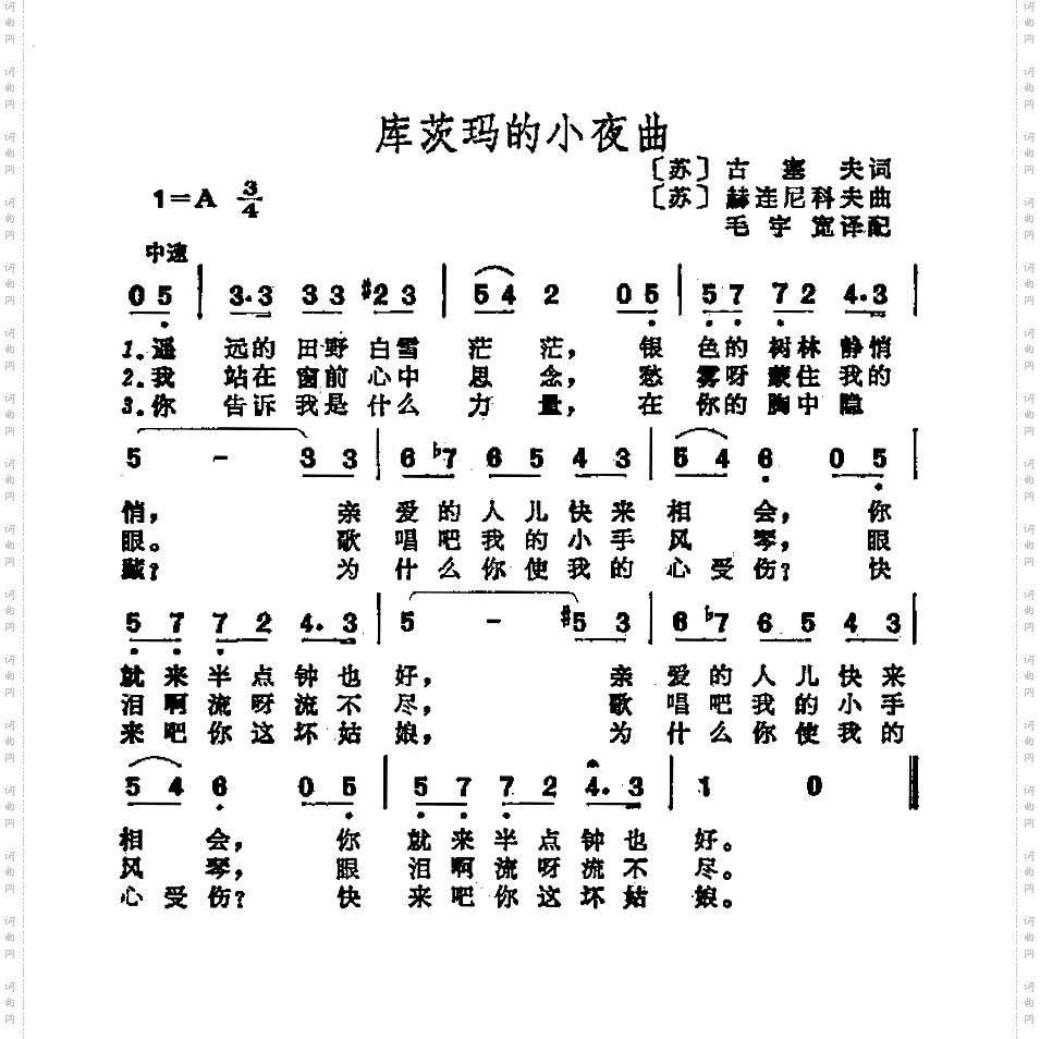 库茨玛的小夜曲