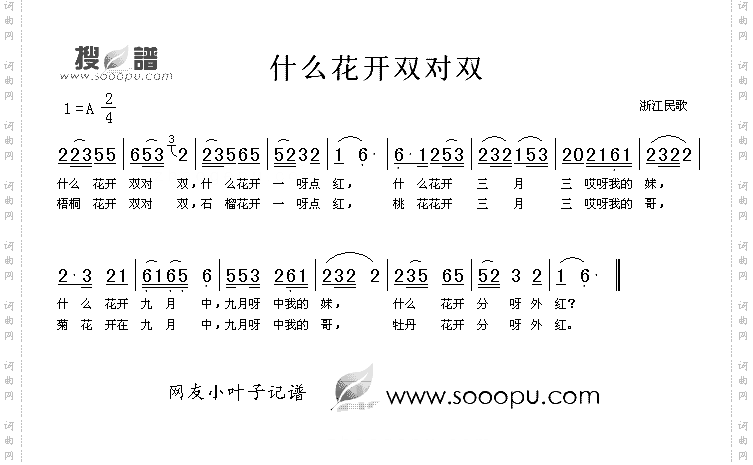 什么花开双对双