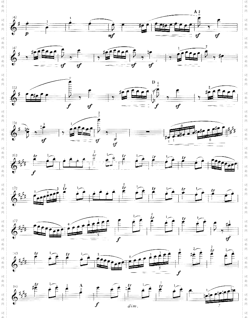 胡鲍伊《来吧,凯蒂!》