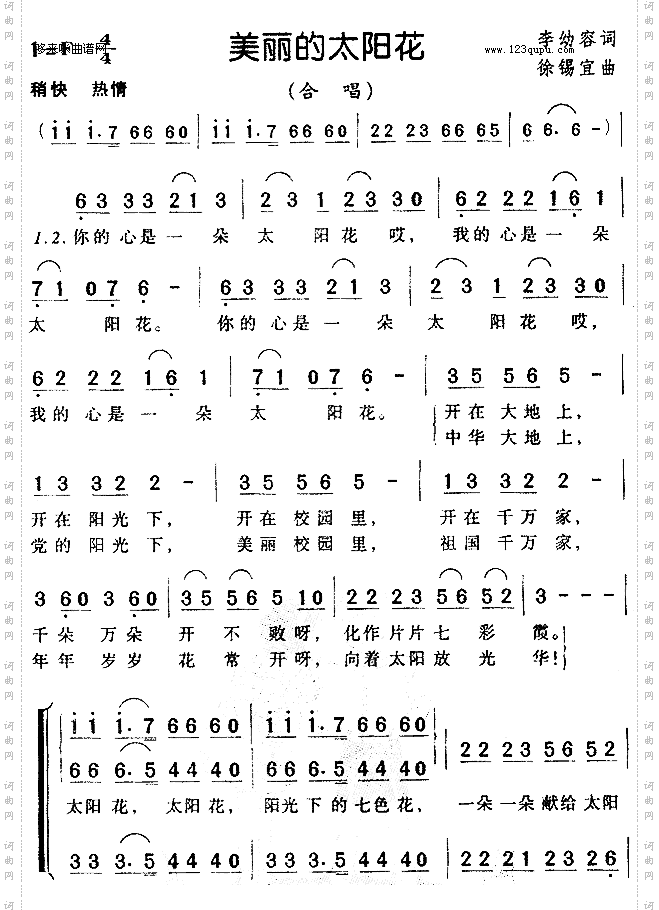 美丽的太阳花