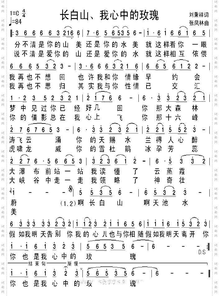 长白山,我心中的玫瑰