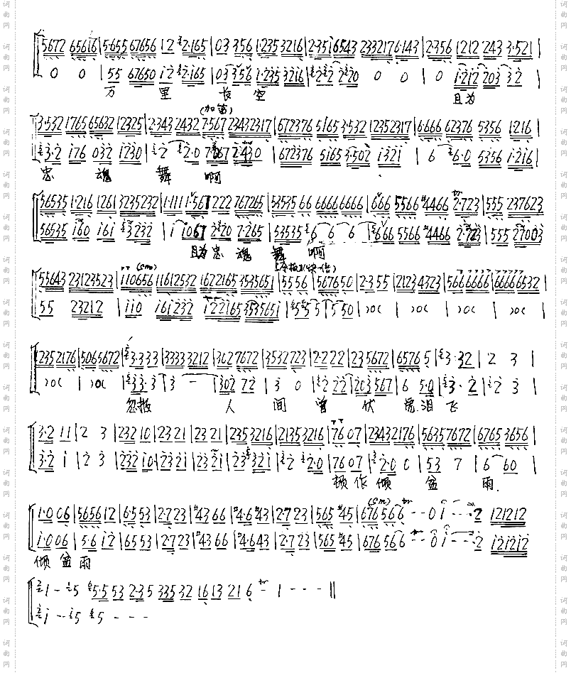 我失骄杨君失柳