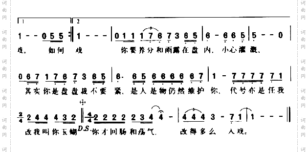 玉蝴蝶