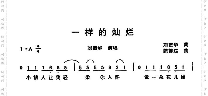 一样的灿烂