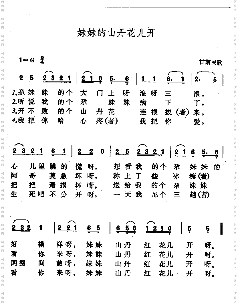 妹妹的山丹花儿开