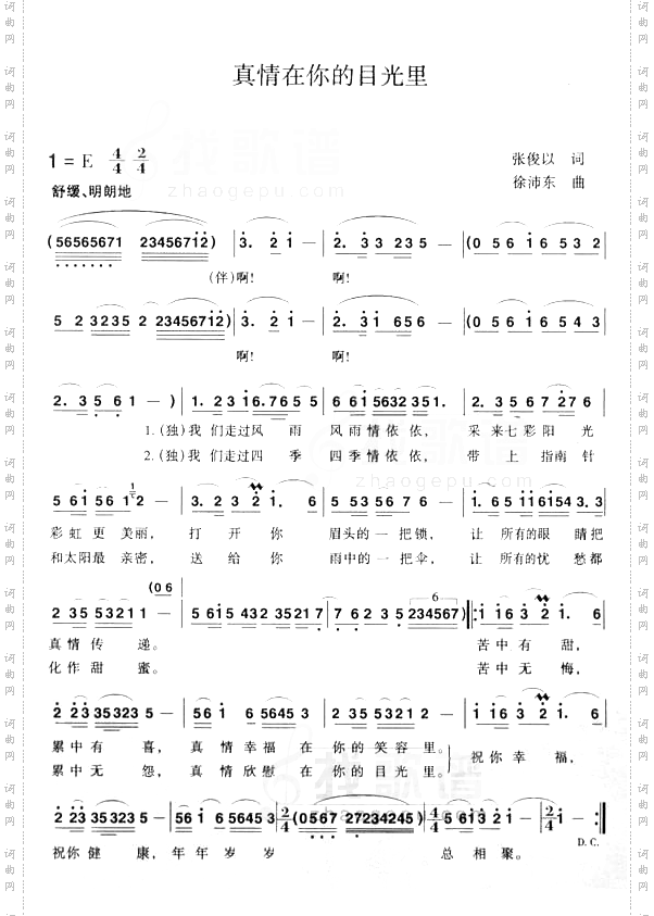 真情在你的目光里