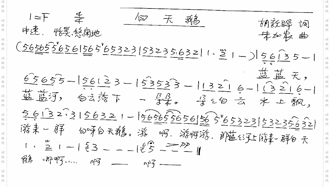 白天鹅