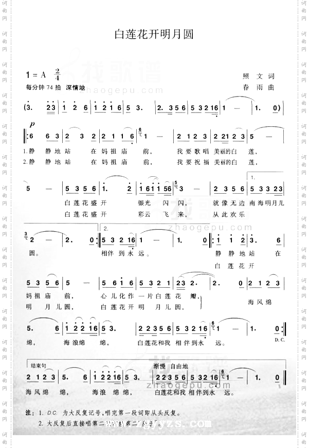 白莲花开明月圆