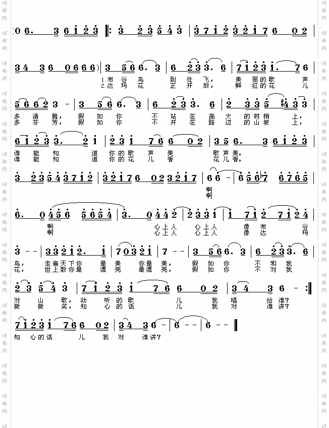 藏族民歌:心上人像达玛花简谱