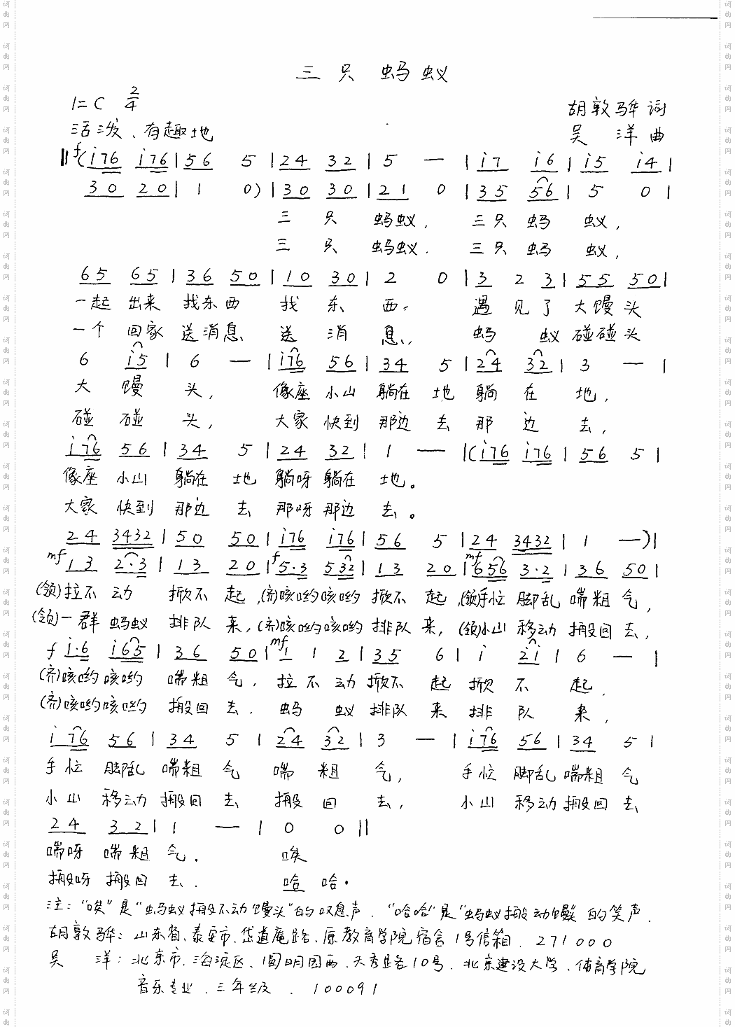 三只蚂蚁
