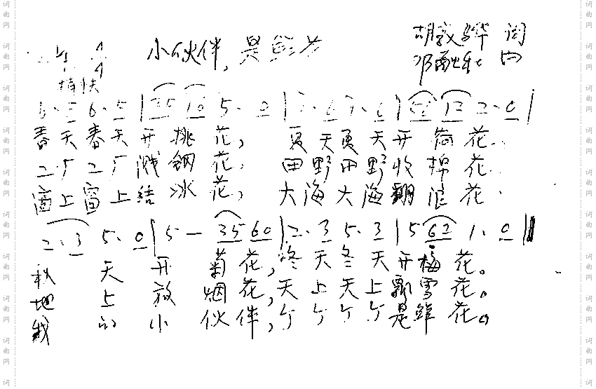 小伙伴是鲜花