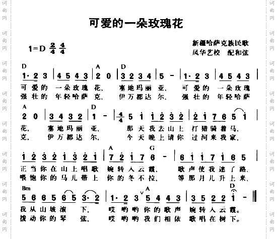 可爱的一朵玫瑰花