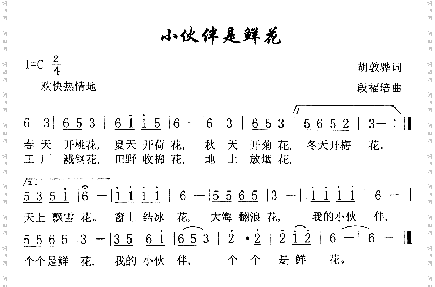 小伙伴是鲜花