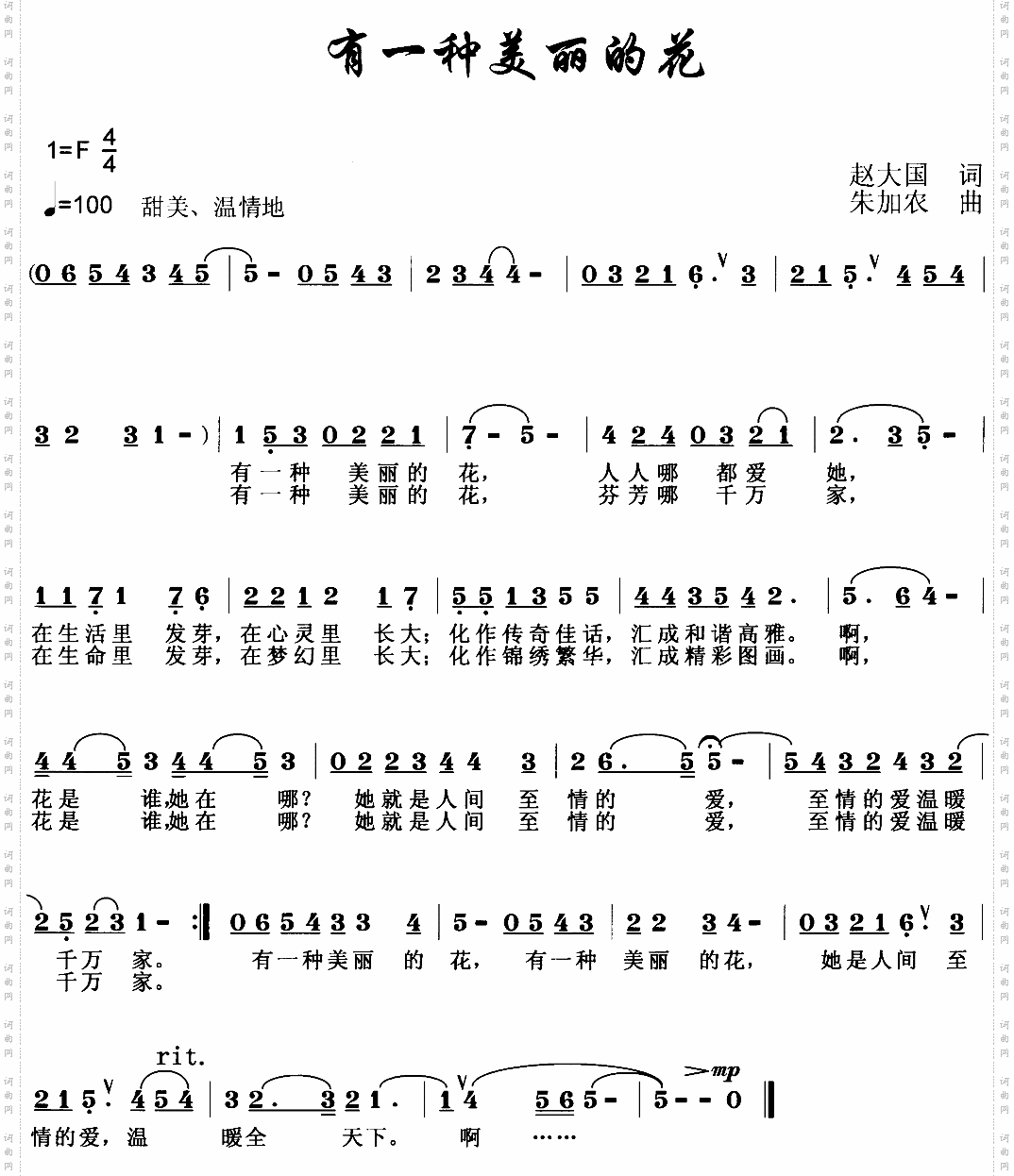 有一种美丽的花