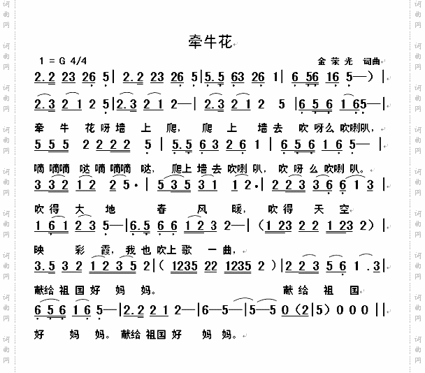 牵牛花