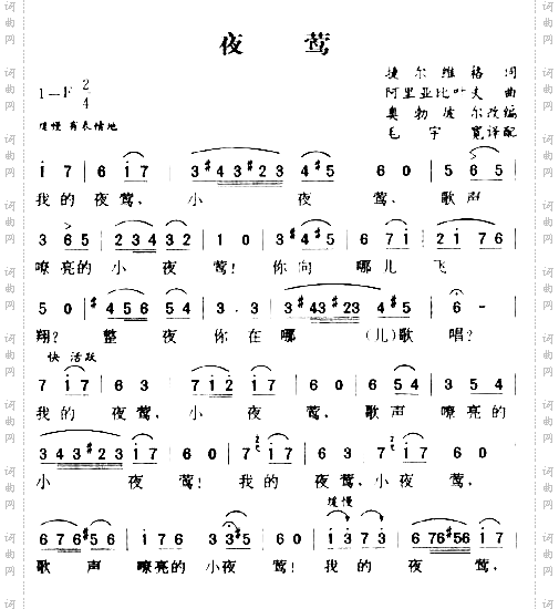 夜莺