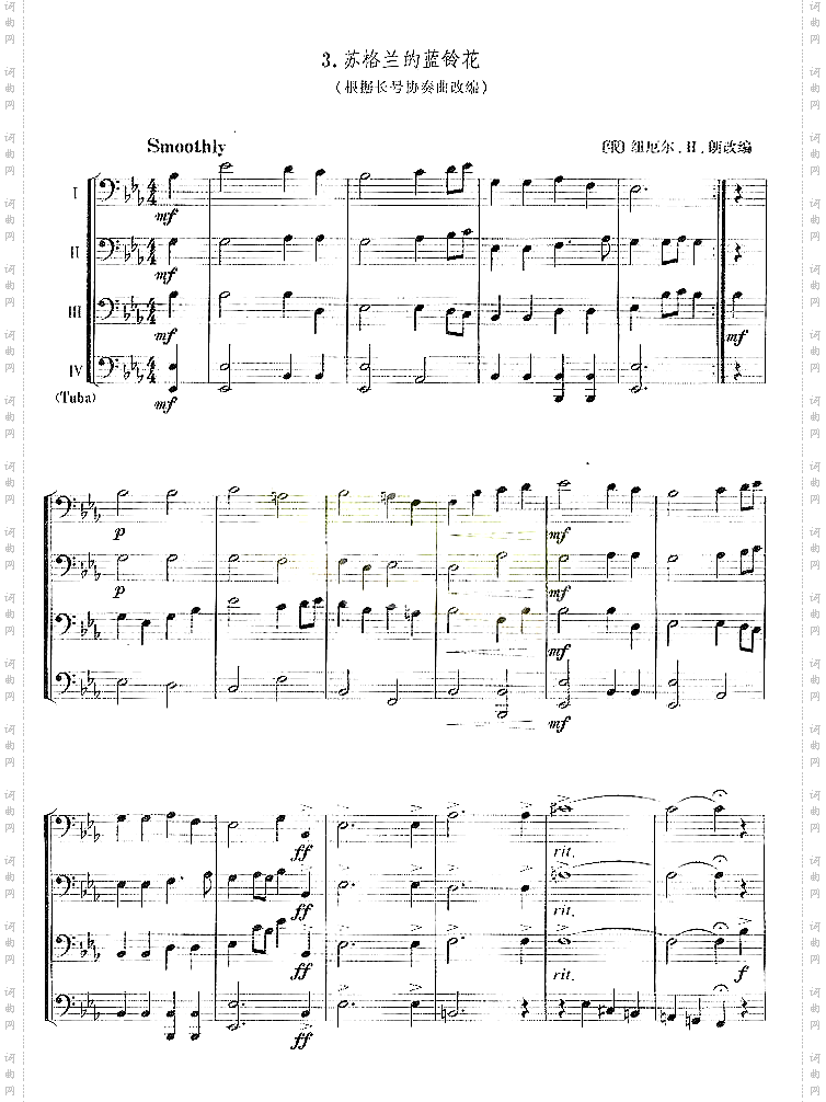 苏格兰的蓝铃花