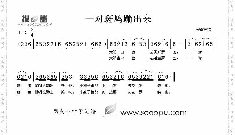 一对斑鸠蹦出来