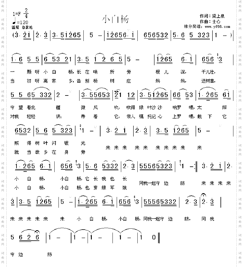 小白杨
