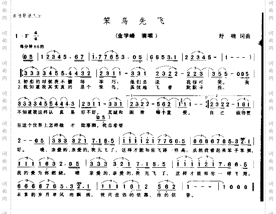 笨鸟先飞
