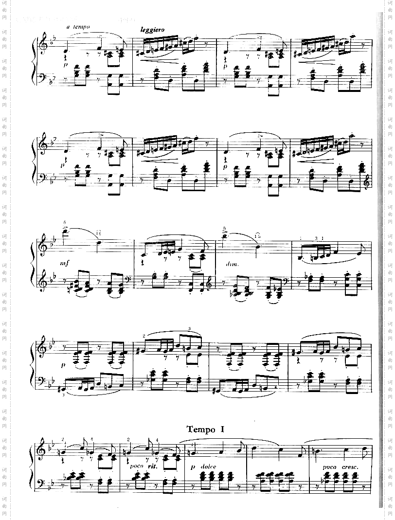 四月——松雪草