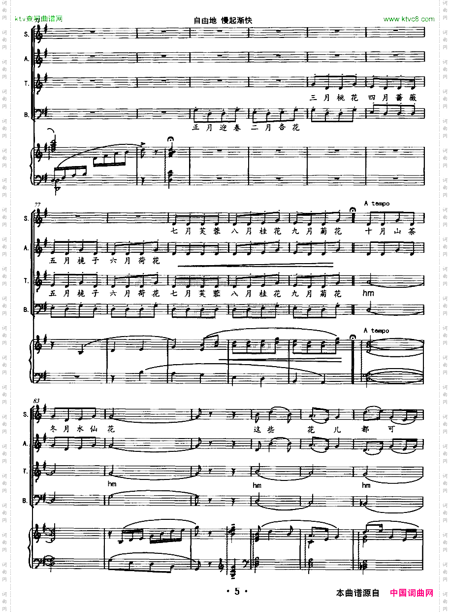 梅花张成康改编版、正谱