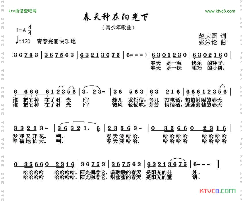 春天种在阳光下