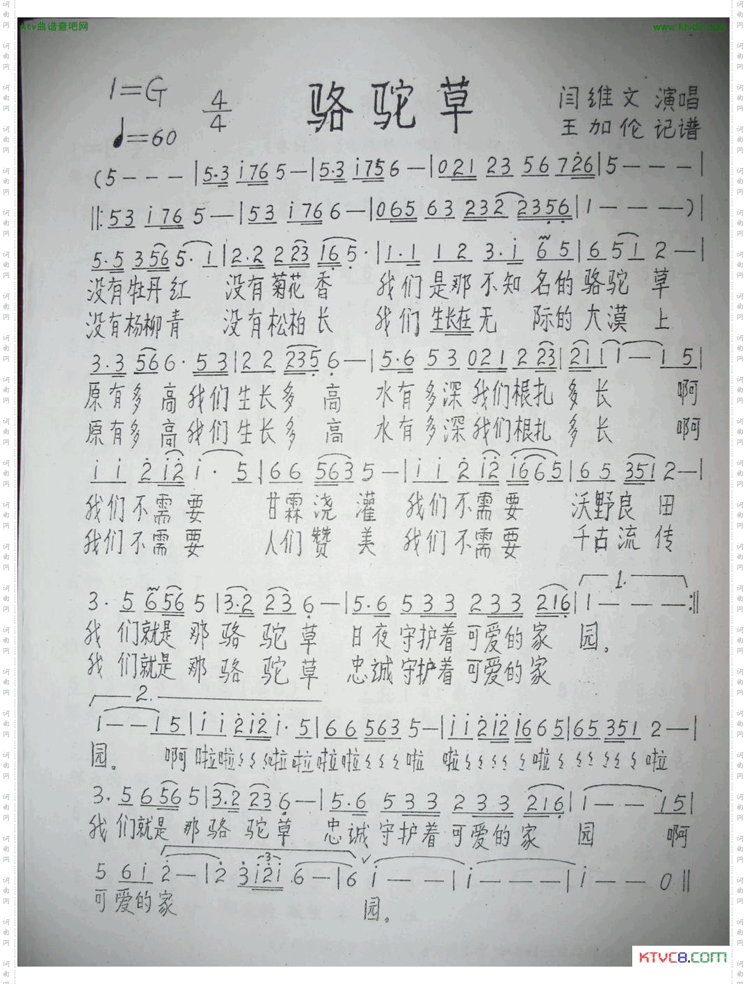 骆驼草