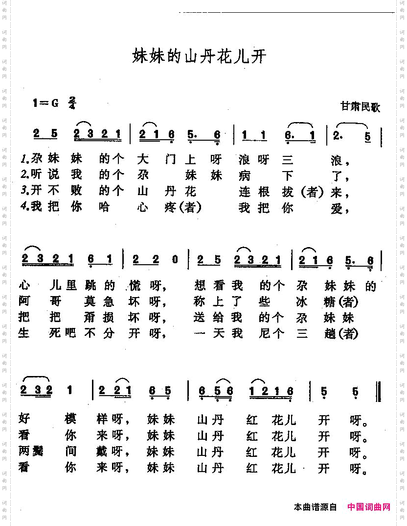 妹妹的山丹花儿开