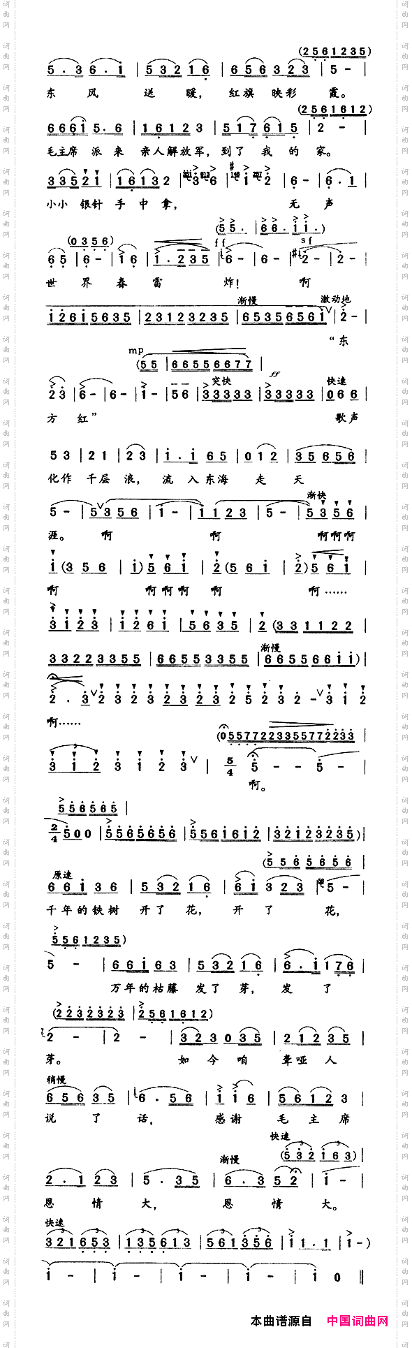 千年的铁树开了花