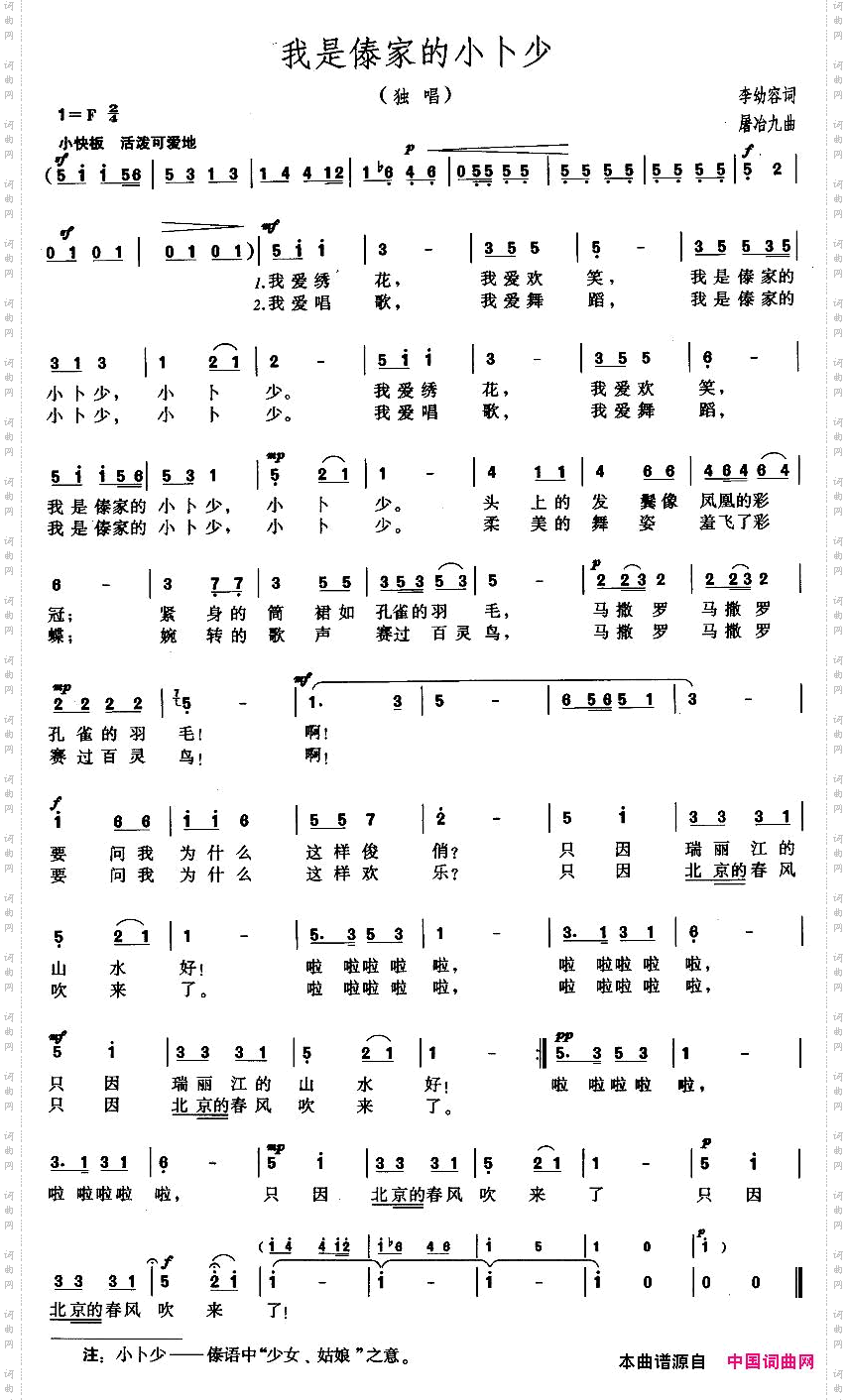 我是傣家的小卜少