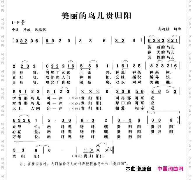 美丽的鸟儿归贵阳