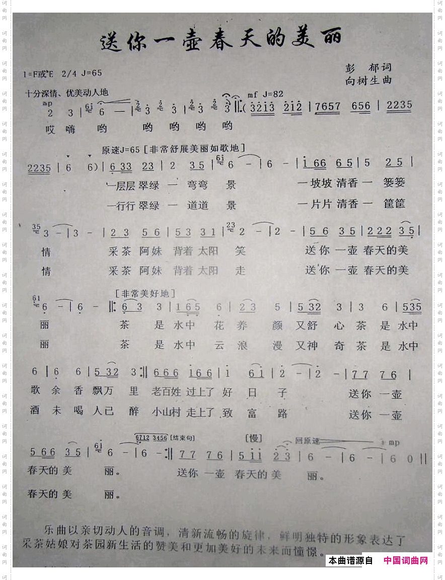 送你一壶春天的美丽