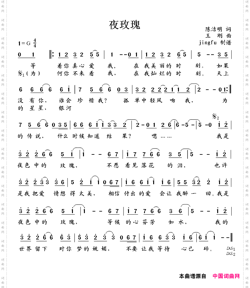 夜玫瑰